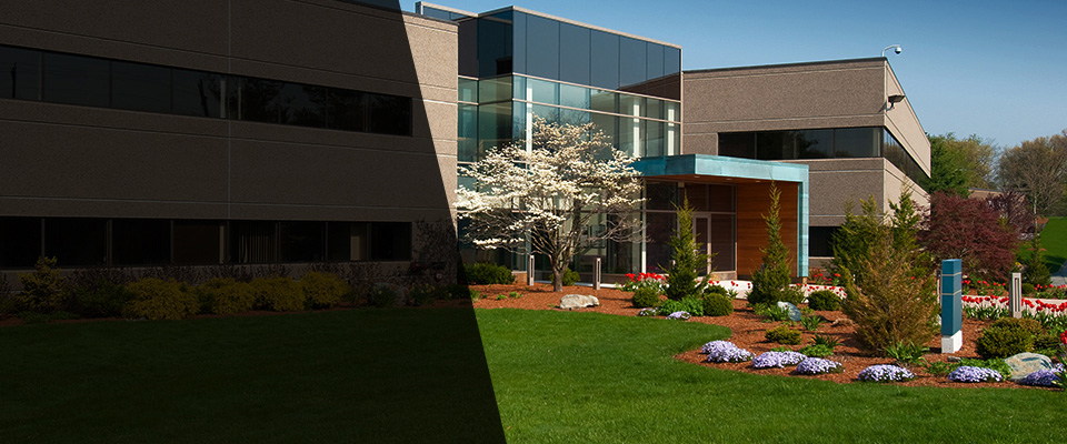 Ocean View Landscapers