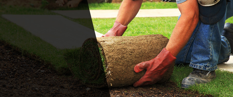 Ocean View Landscapers